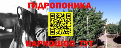 прущие грибы Анжеро-Судженск
